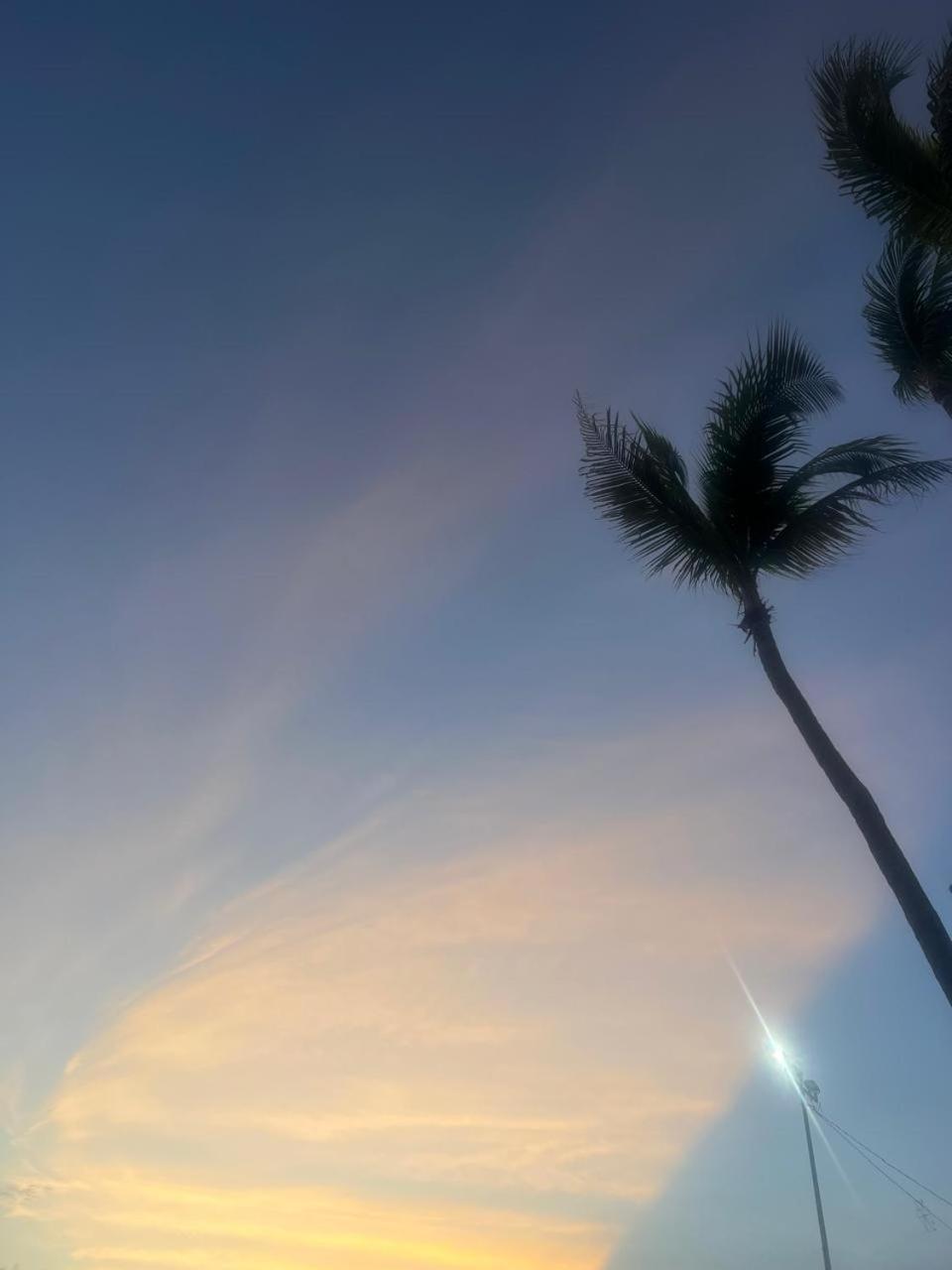 La Palapa Acapulco Daire Dış mekan fotoğraf